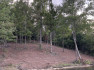 Photo of Lot 2   Indian Campground Rd